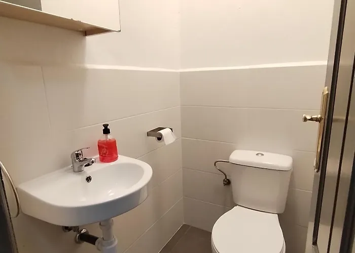 Yellow House * Viveiro