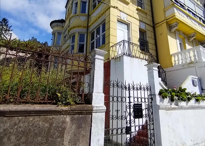 Yellow House Viveiro